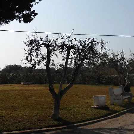 El Paraiso *